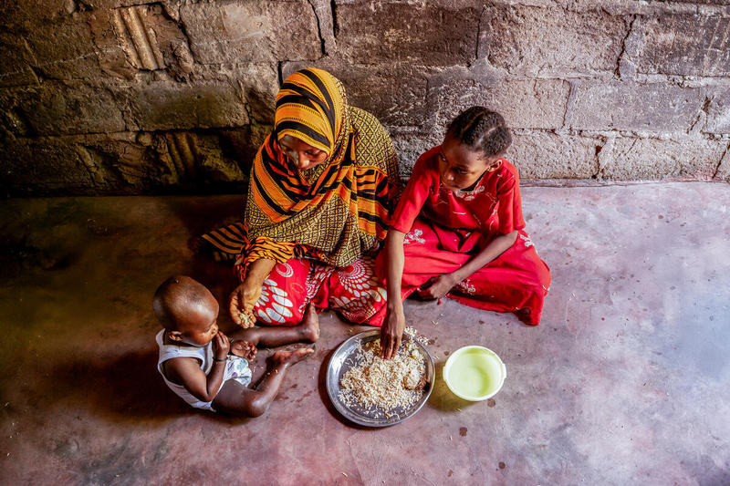 Actualidad de alimentación de FAO