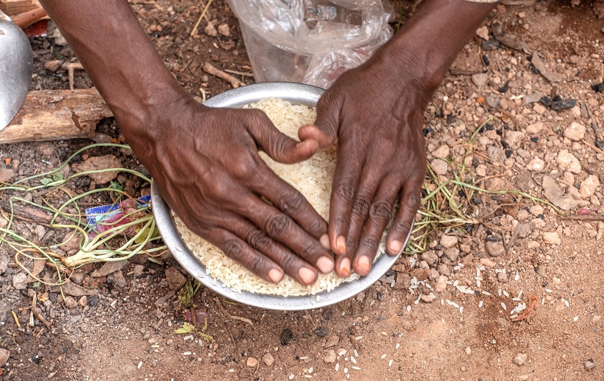 Actualidad de nutrición de WHO